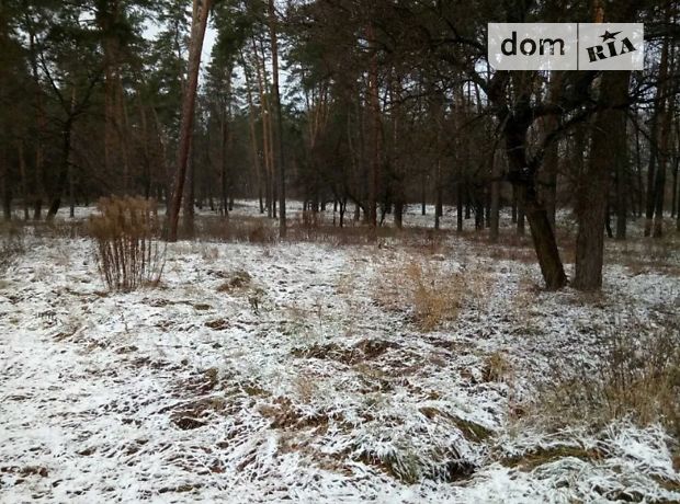 Земля под жилую застройку в Черкассах, район Сосновский, площадь 8 соток фото 1 Земля под жилую застройку в Черкассах, район Сосновский, площадь 8 соток фото 1