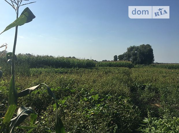 Продажа участка под жилую застройку, Черкассы, р‑н. Червоная Слобода, Рибальська Продажа участка под жилую застройку, Черкассы, р‑н. Червоная Слобода, Рибальська