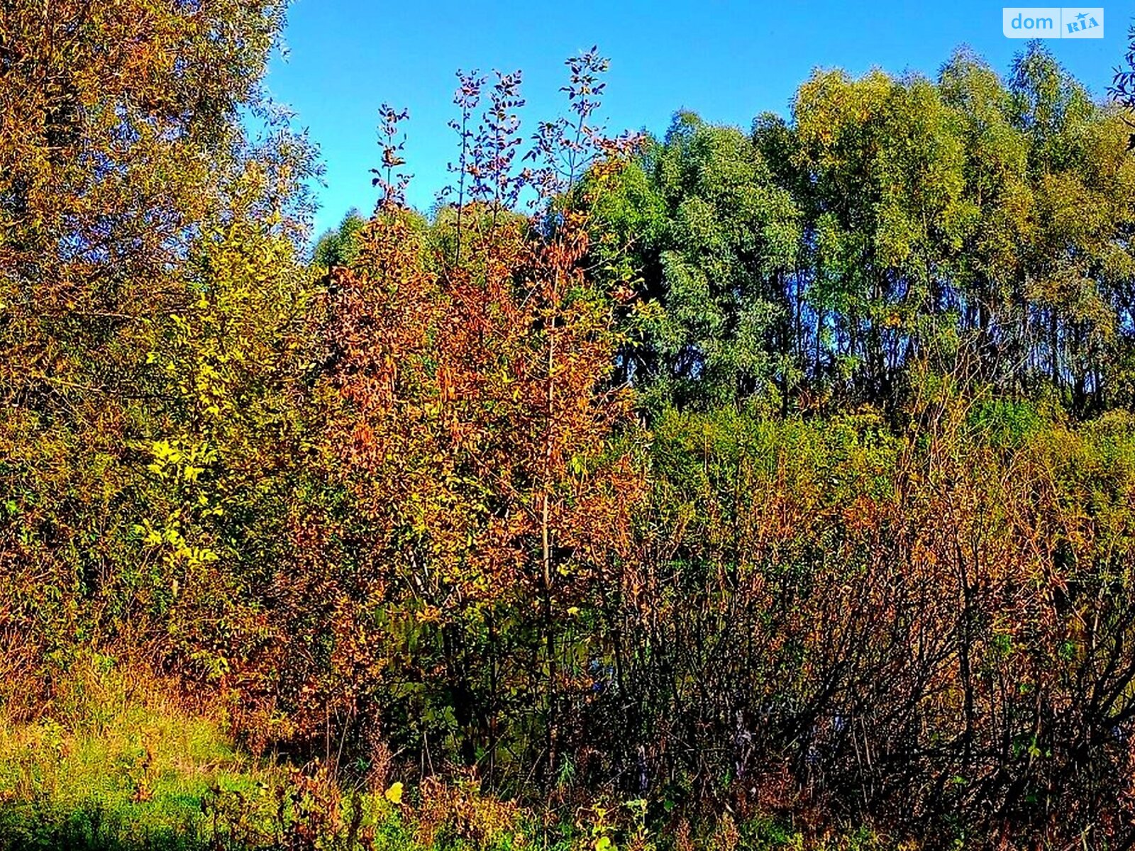 Земля под жилую застройку в Чернигове, район Деснянский, площадь 7 соток фото 1