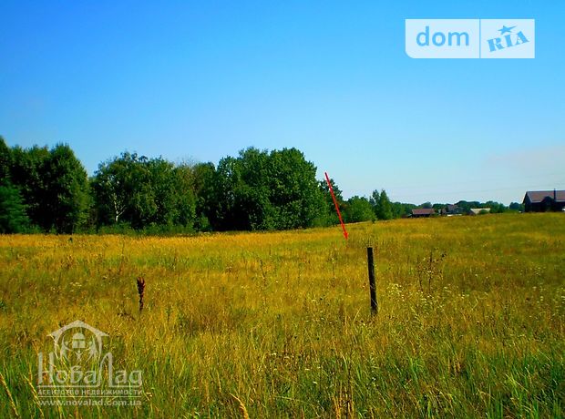 Земля под жилую застройку в селе Киенка, площадь 25 соток фото 1 Земля под жилую застройку в селе Киенка, площадь 25 соток фото 1