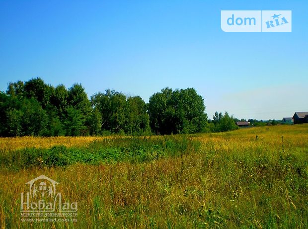 Земля под жилую застройку в селе Киенка, площадь 50 соток фото 1 Земля под жилую застройку в селе Киенка, площадь 50 соток фото 1