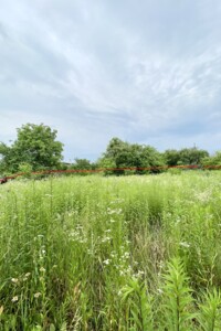 Земля под жилую застройку в Чернигове, район Лесковица, площадь 4 сотки фото 2