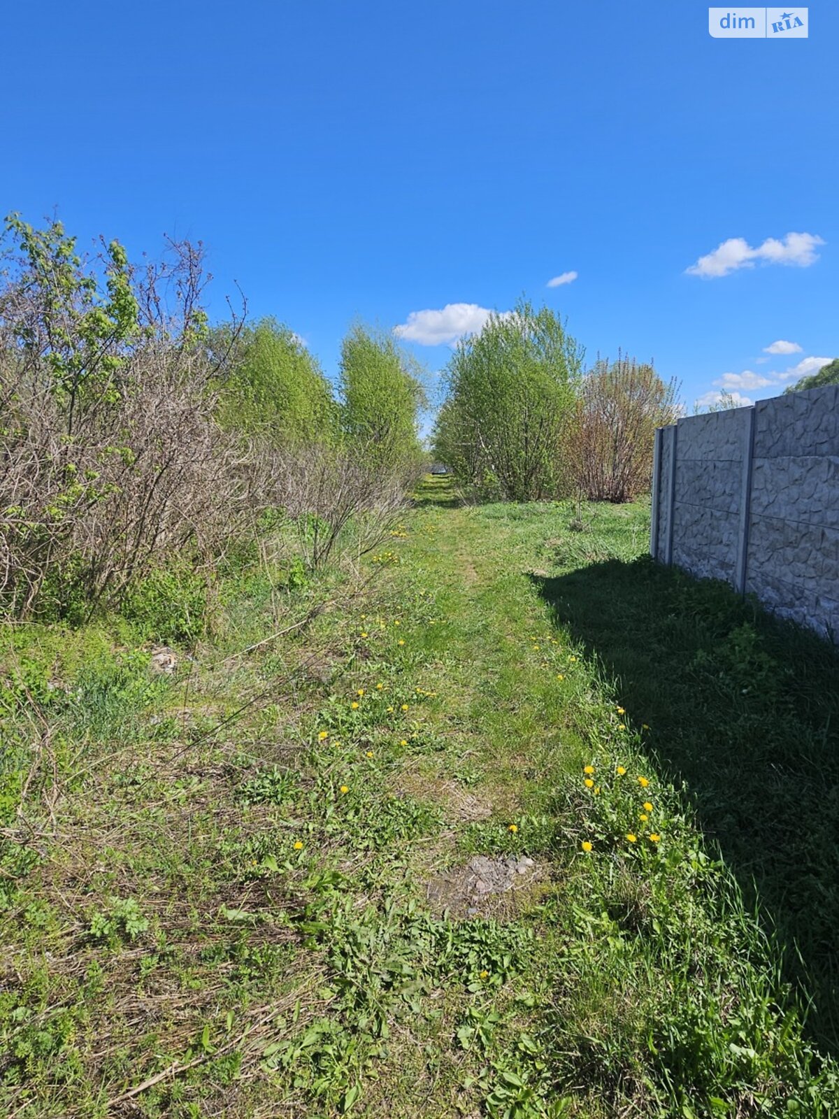 Земля под жилую застройку в Чернигове, район Лесковица, площадь 21 сотка фото 1