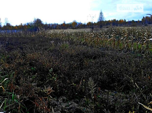 Земля под жилую застройку в Чернигове, район Масаны, площадь 12 соток фото 1 Земля под жилую застройку в Чернигове, район Масаны, площадь 12 соток фото 1