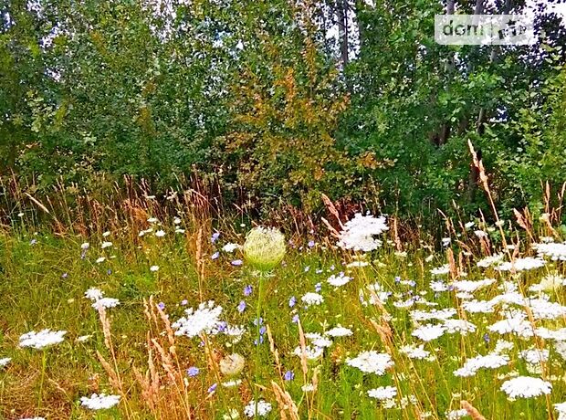Земля под жилую застройку в Чернигове, район Масаны, площадь 12 соток фото 1 Земля под жилую застройку в Чернигове, район Масаны, площадь 12 соток фото 1