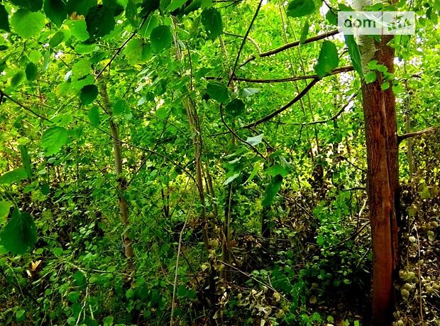 Земля под жилую застройку в Чернигове, район Масаны, площадь 12 соток фото 1 Земля под жилую застройку в Чернигове, район Масаны, площадь 12 соток фото 1
