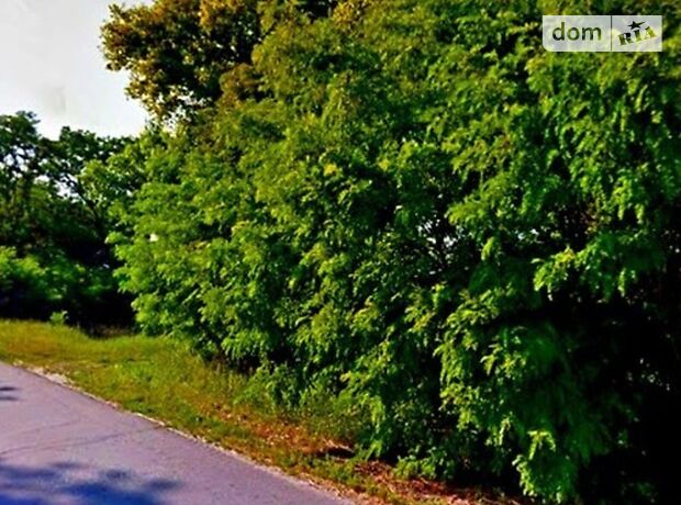Земля под жилую застройку в селе Редьковка, площадь 12 соток фото 1 Земля под жилую застройку в селе Редьковка, площадь 12 соток фото 1