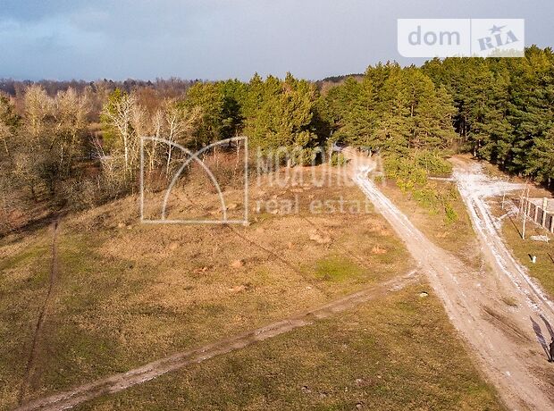 Земля под жилую застройку в селе Сновянка, площадь 40 соток фото 1 Земля под жилую застройку в селе Сновянка, площадь 40 соток фото 1