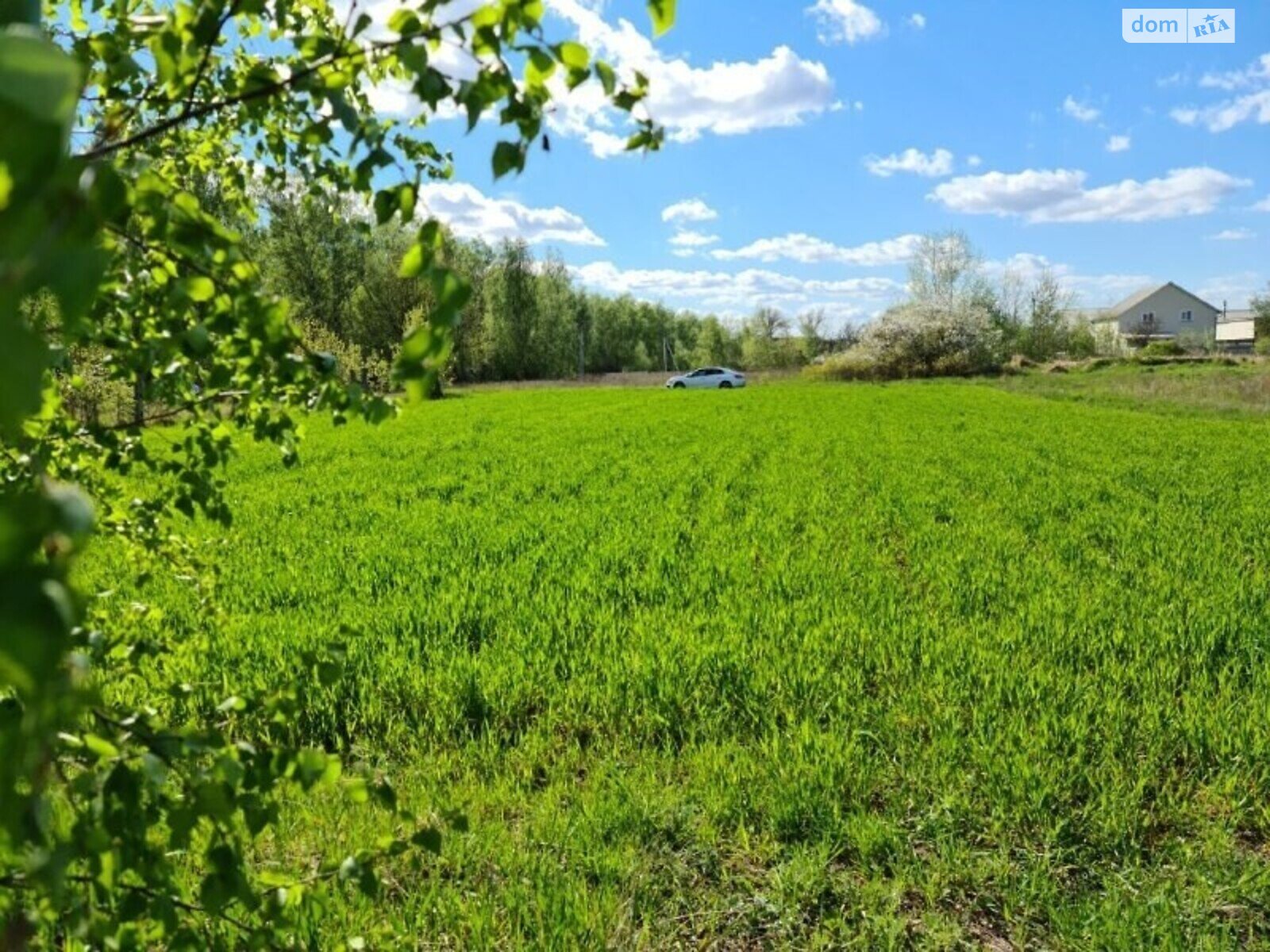 Земельна ділянка під житлову забудову в Старому Білоусі, площа 10.8 сотки фото 1