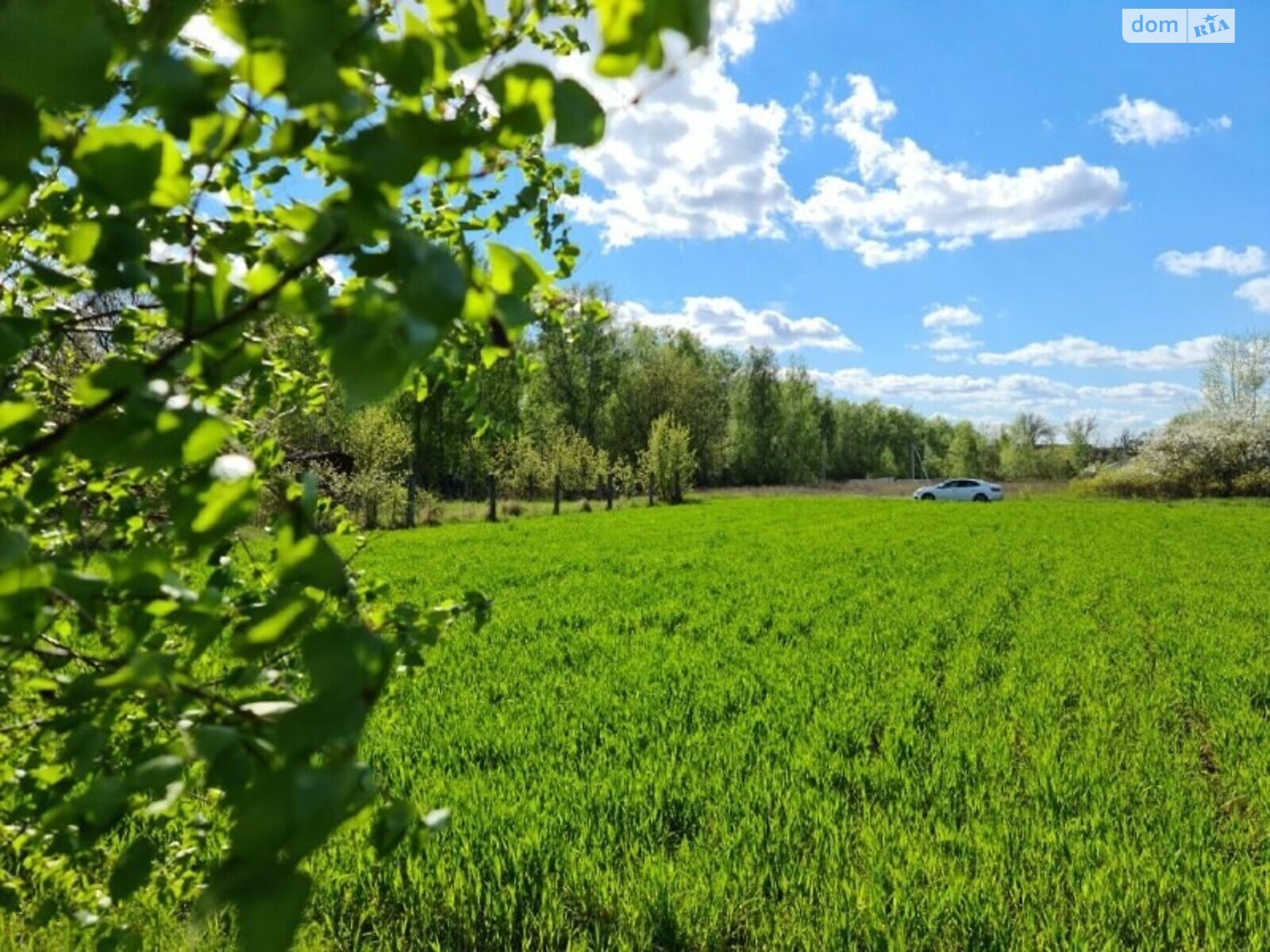 Земельна ділянка під житлову забудову в Старому Білоусі, площа 10 соток фото 1