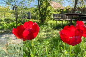 Земля під житлову забудову в Чернігові, район Центр, площа 10 соток фото 2