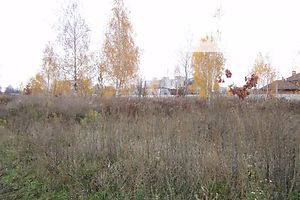 Земля под жилую застройку в Чернигове, район Яловщина, площадь 16 соток фото 2