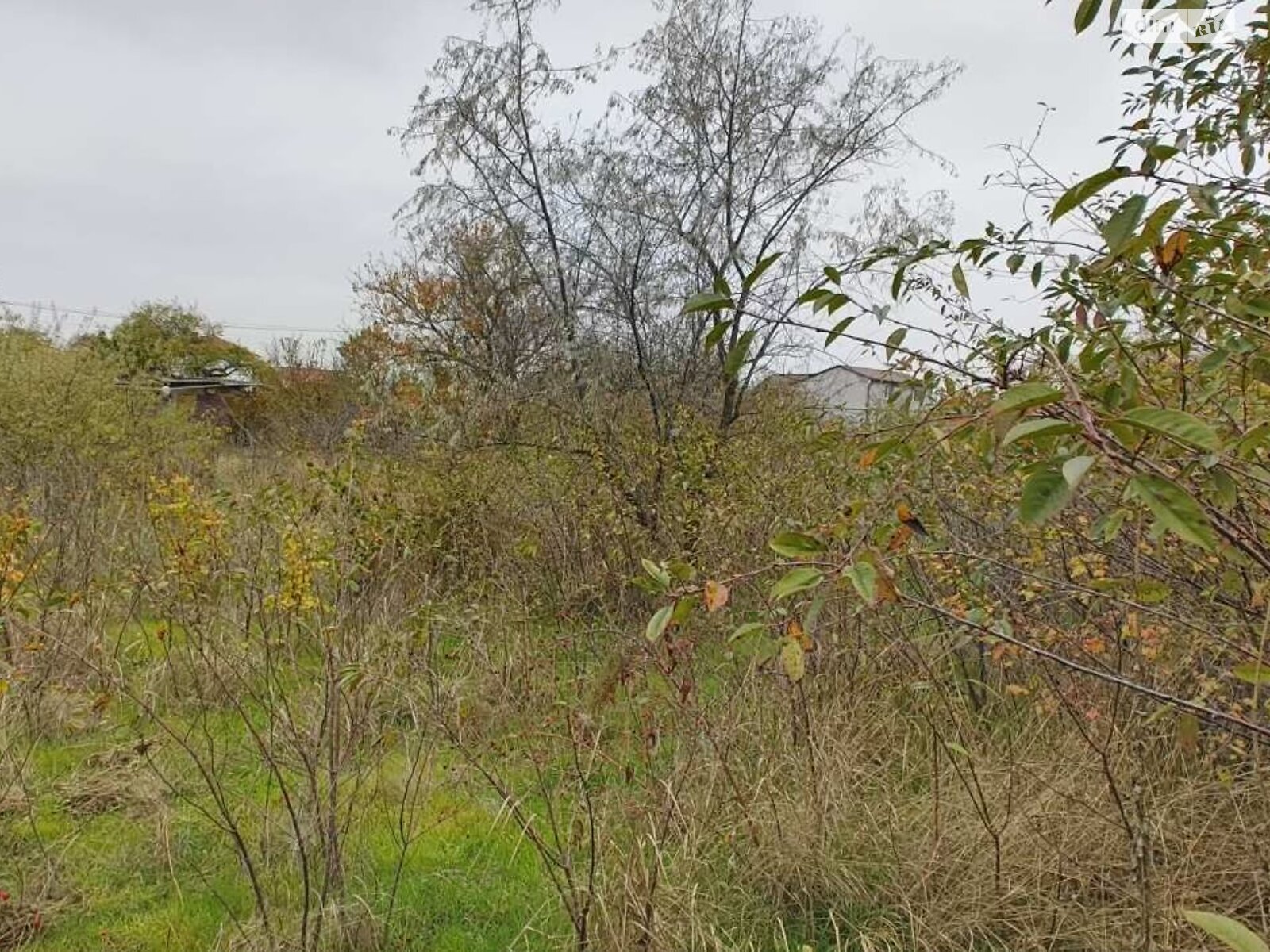 Земельна ділянка під житлову забудову в Чорноморську, площа 12 соток фото 1 Земельна ділянка під житлову забудову в Чорноморську, площа 12 соток фото 1