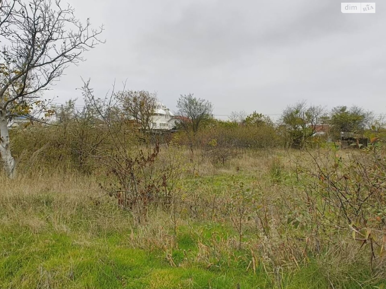 Земельна ділянка під житлову забудову в Чорноморську, площа 12 соток фото 1 Земельна ділянка під житлову забудову в Чорноморську, площа 12 соток фото 1