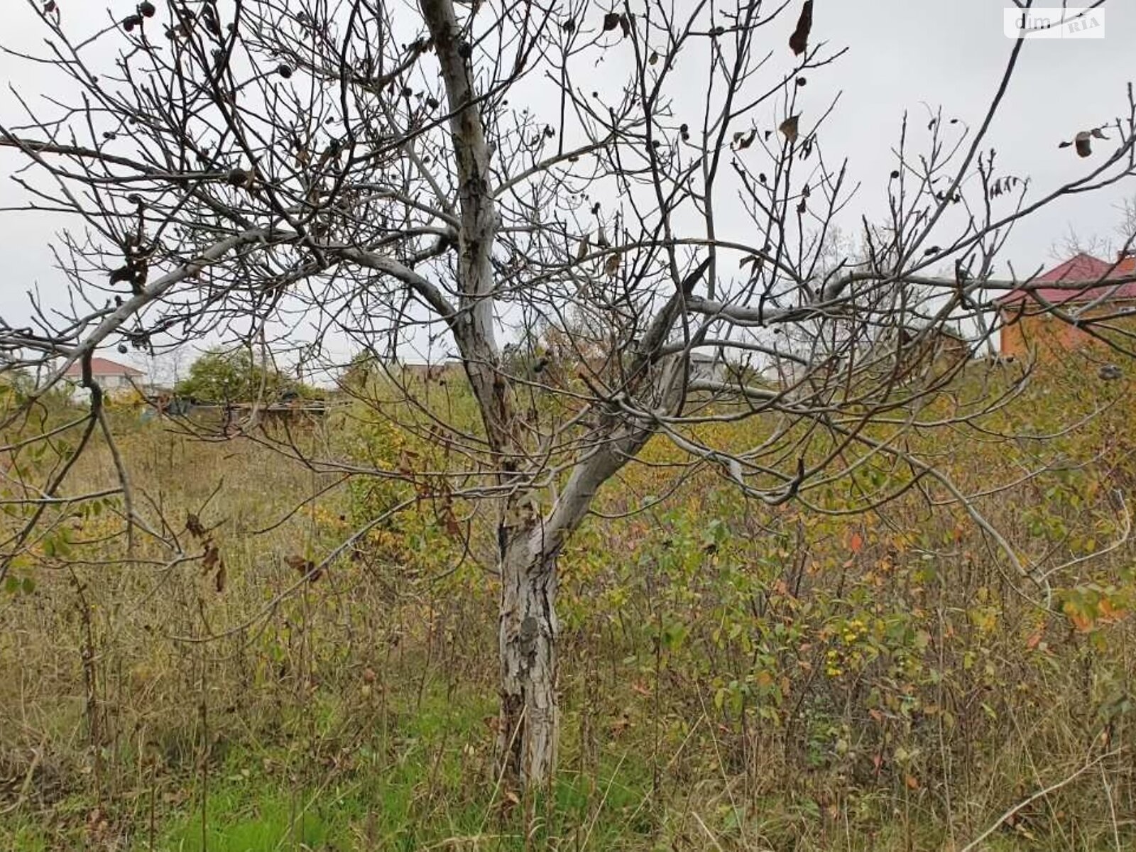 Земельна ділянка під житлову забудову в Чорноморську, площа 12 соток фото 1 Земельна ділянка під житлову забудову в Чорноморську, площа 12 соток фото 1