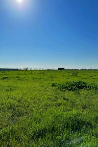 Земля під житлову забудову в Чорноморську, район Молодіжне, площа 10 соток фото 2