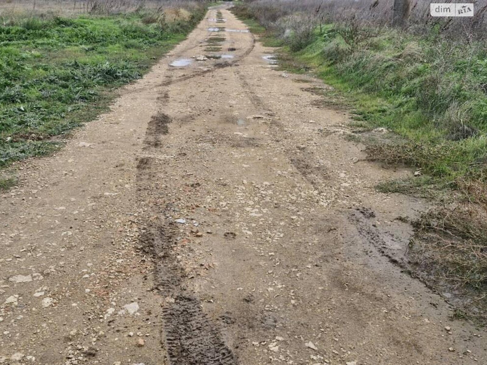 Земельна ділянка під житлову забудову в Молодіжному, площа 11.97 сотки фото 1 Земельна ділянка під житлову забудову в Молодіжному, площа 11.97 сотки фото 1