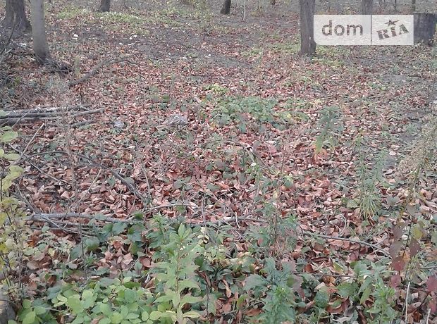 Земля под жилую застройку в Черновцах, район Клокучка, площадь 6 соток фото 1 Земля под жилую застройку в Черновцах, район Клокучка, площадь 6 соток фото 1
