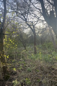 Земля під житлову забудову в Чернівцях, район Роша, площа 7 соток фото 2