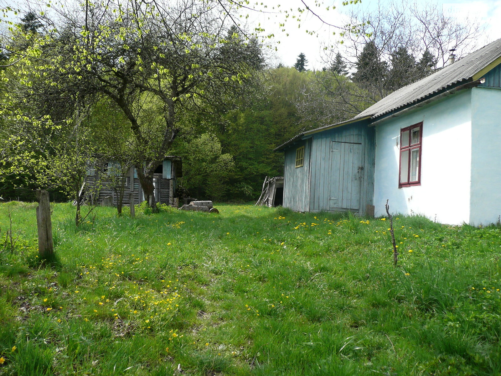 Земля под жилую застройку в Черновцах, площадь 52 сотки фото 1