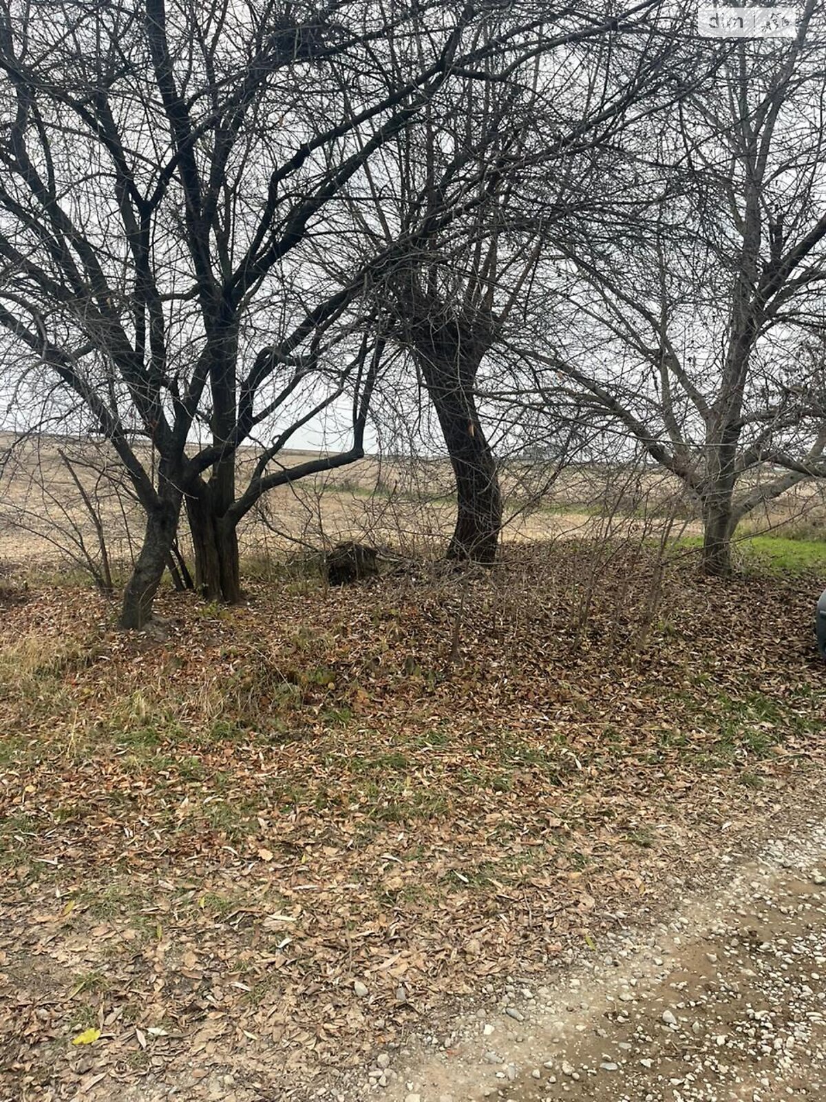 Земельна ділянка під житлову забудову в Чернівцях, площа 21 сотка фото 1