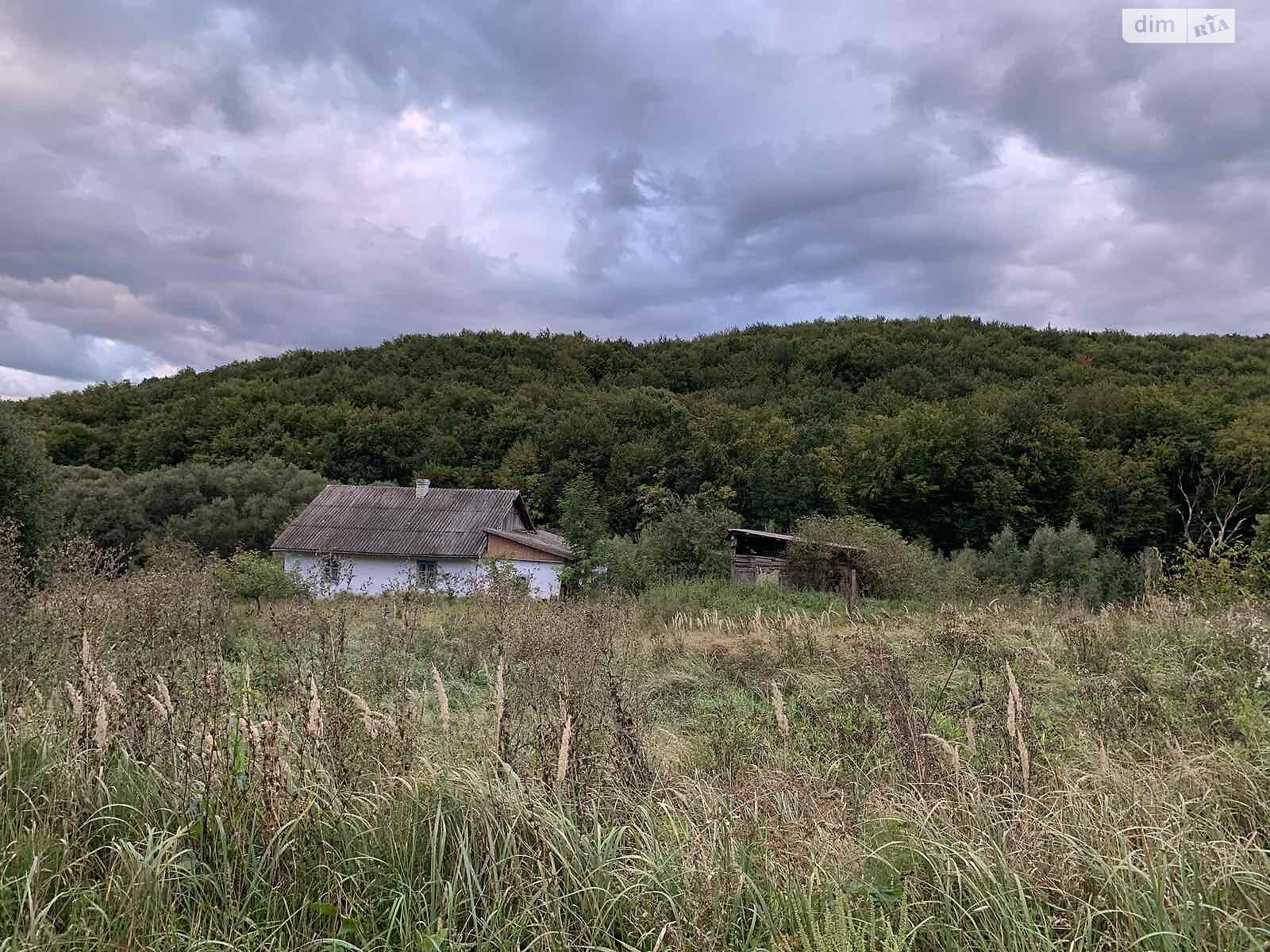 Земля під житлову забудову в Чернівцях, район Сторожинецька, площа 1 Га фото 1