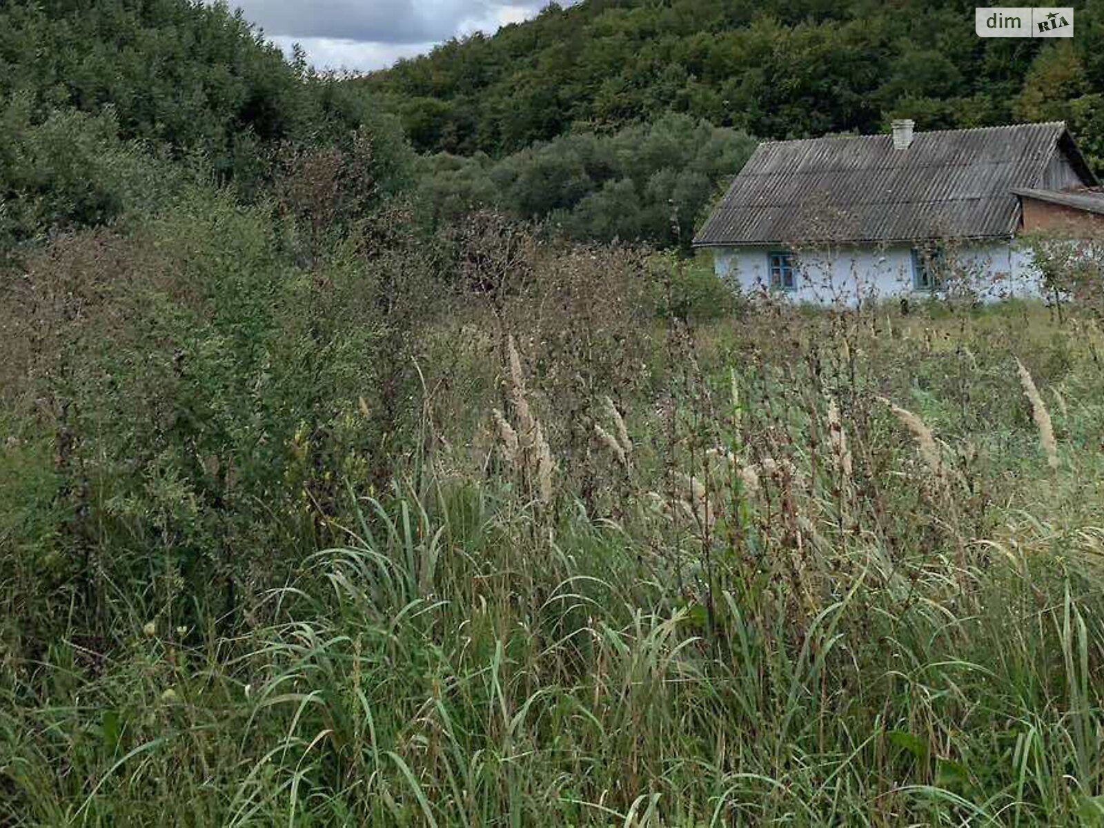 Земля під житлову забудову в Чернівцях, район Сторожинецька, площа 1 Га фото 1