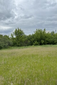 Земельный участок под жилую застройку в Черняховке, площадь 17 соток фото 2