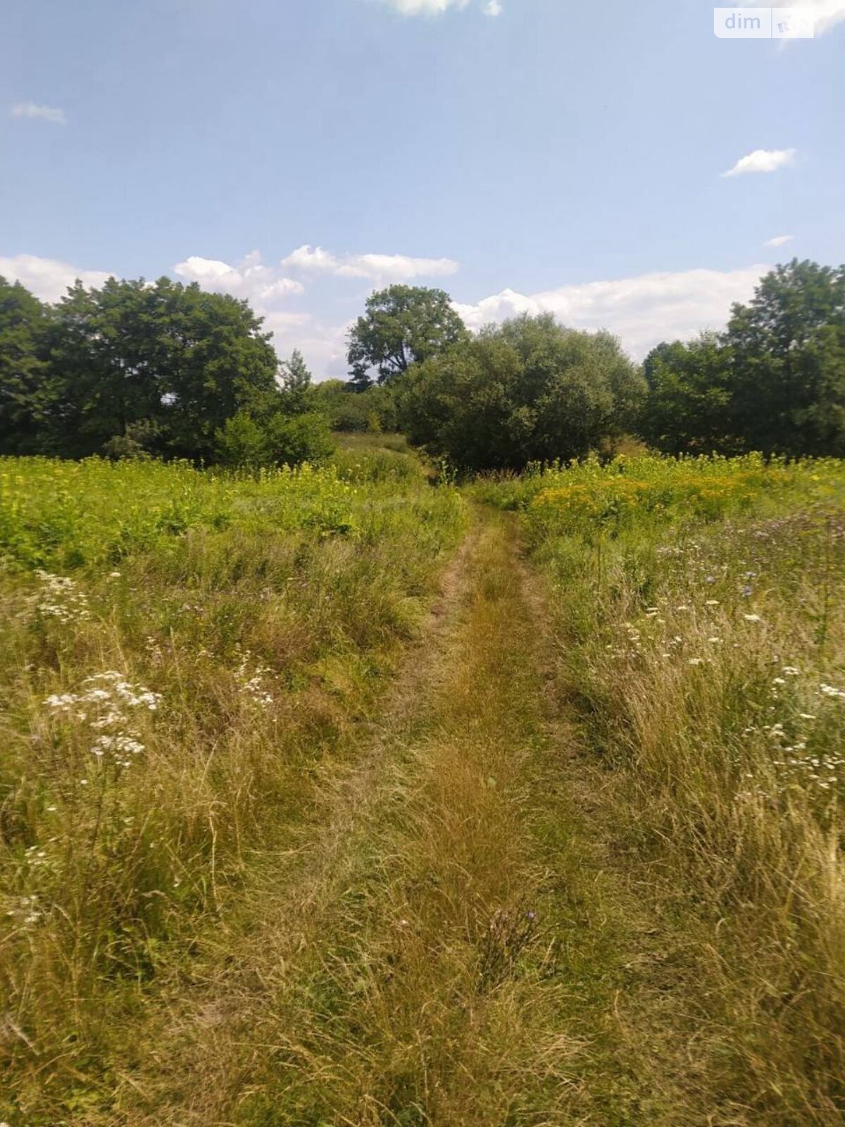 Земельный участок под жилую застройку в Червоной Чагаровке, площадь 10 соток фото 1 Земельный участок под жилую застройку в Червоной Чагаровке, площадь 10 соток фото 1