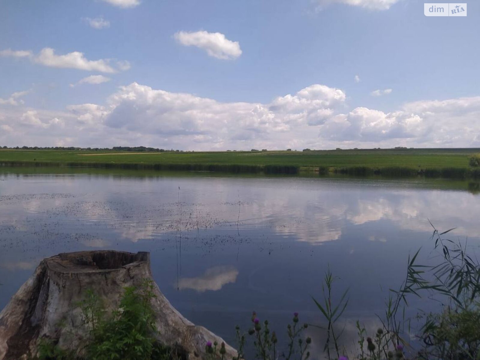 Земельный участок под жилую застройку в Червоной Чагаровке, площадь 10 соток фото 1 Земельный участок под жилую застройку в Червоной Чагаровке, площадь 10 соток фото 1