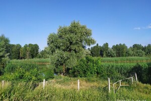 Земельный участок под жилую застройку в Червоной Слободе, площадь 12 соток фото 2