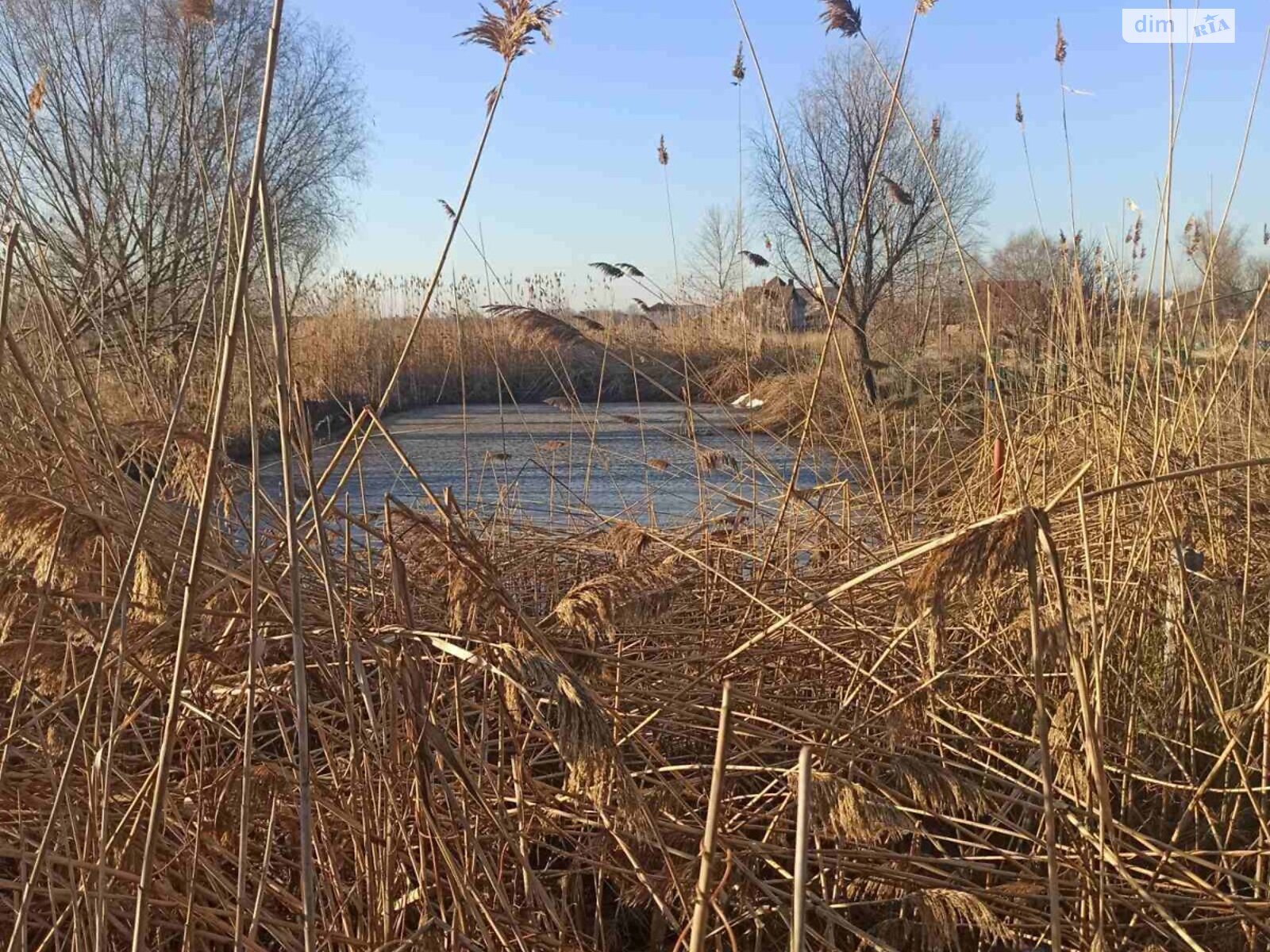 Земельный участок под жилую застройку в Червоной Слободе, площадь 2 Га фото 1