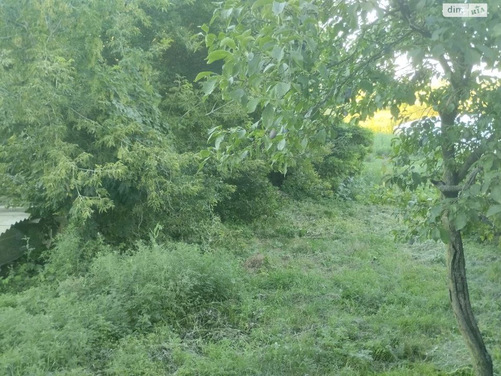Земля під житлову забудову в Чигирині, район Чигирин, площа 6 соток фото 1 Земля під житлову забудову в Чигирині, район Чигирин, площа 6 соток фото 1