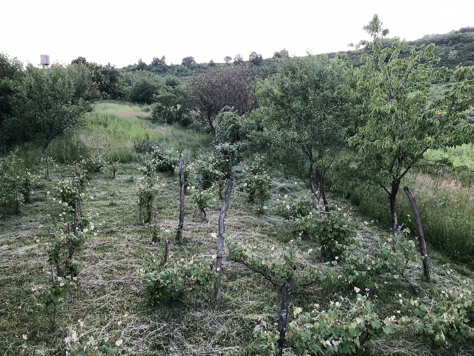 Земельна ділянка під житлову забудову в Чинадієвому, площа 31.29 сотки фото 1