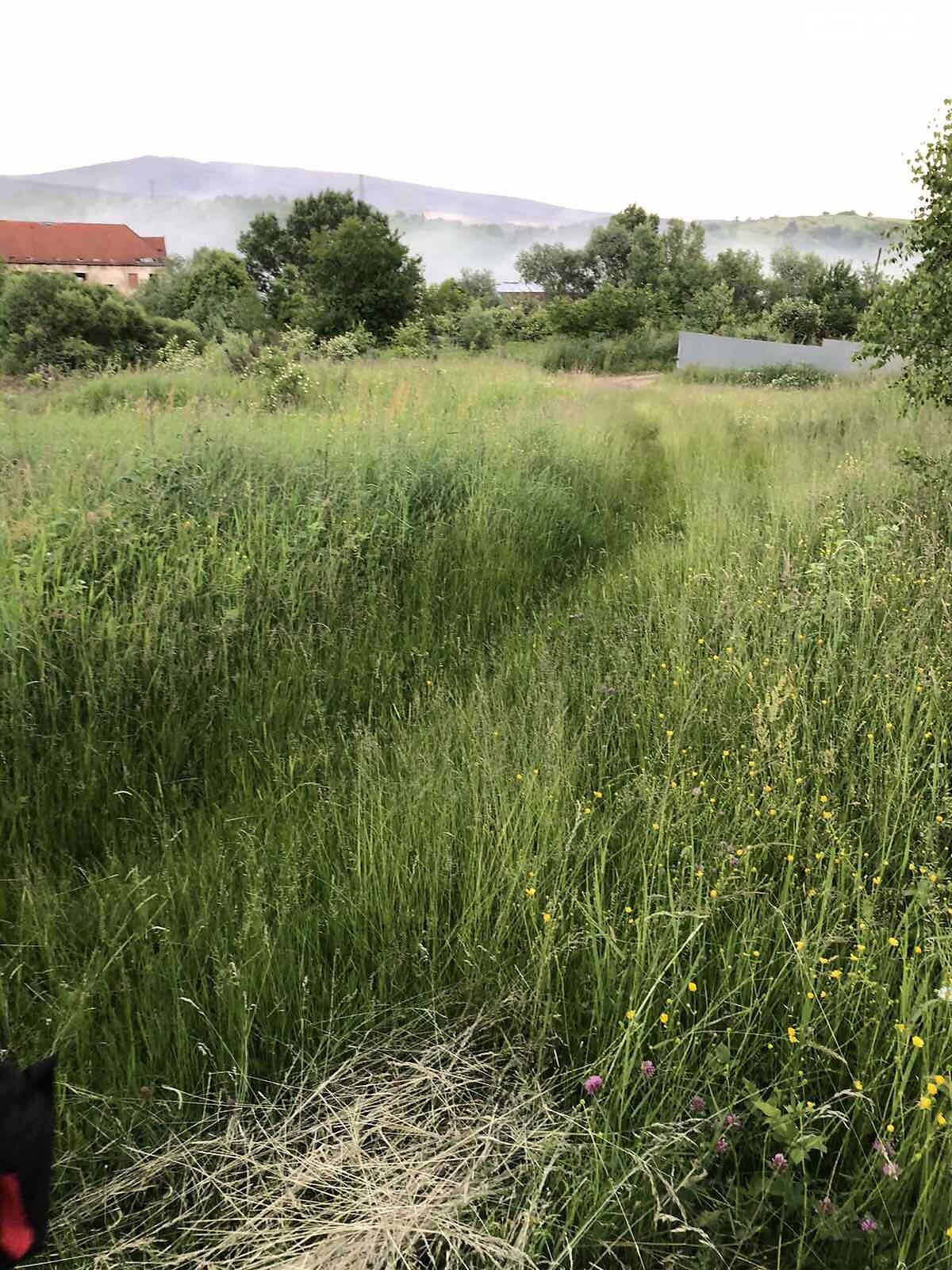 Земельна ділянка під житлову забудову в Чинадієвому, площа 31.29 сотки фото 1