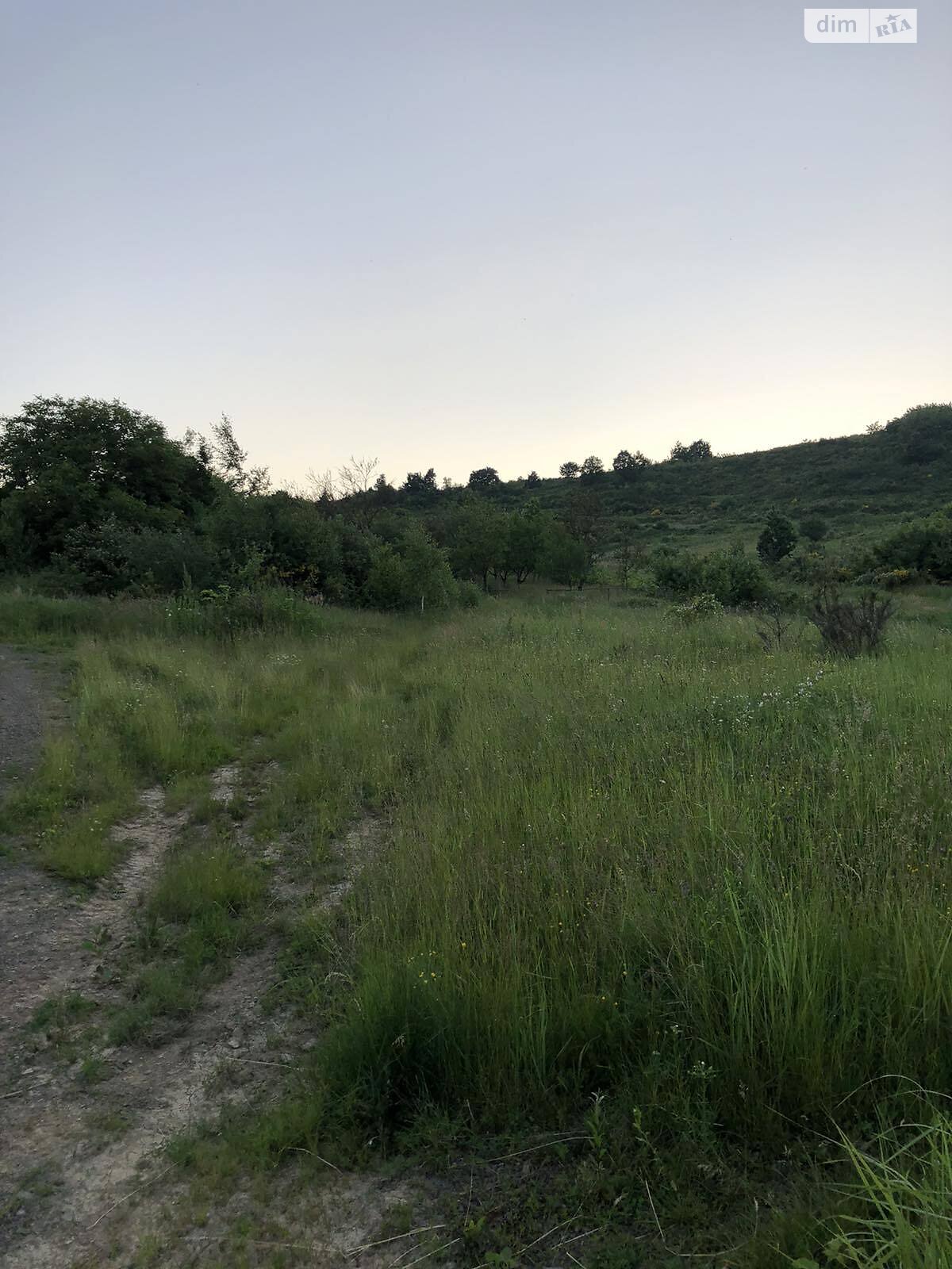 Земельна ділянка під житлову забудову в Чинадієвому, площа 31.29 сотки фото 1