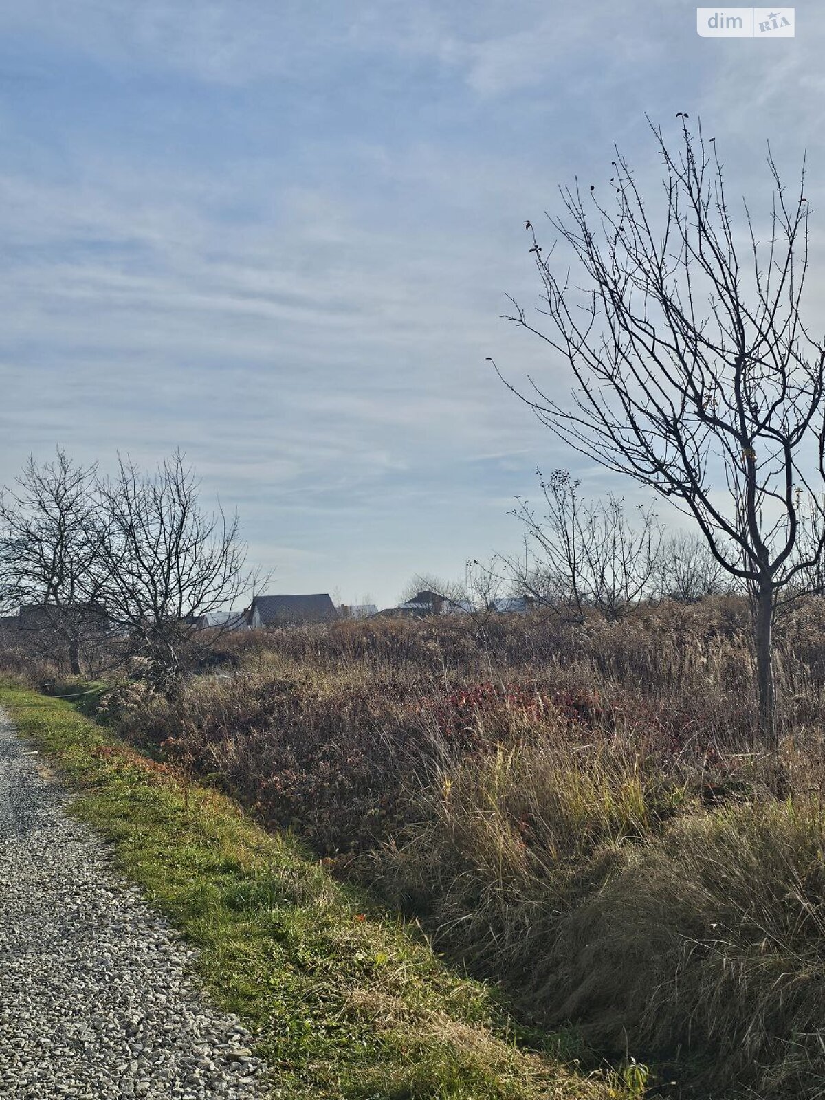 Земельный участок под жилую застройку в Чукаловке, площадь 20 соток фото 1 Земельный участок под жилую застройку в Чукаловке, площадь 20 соток фото 1