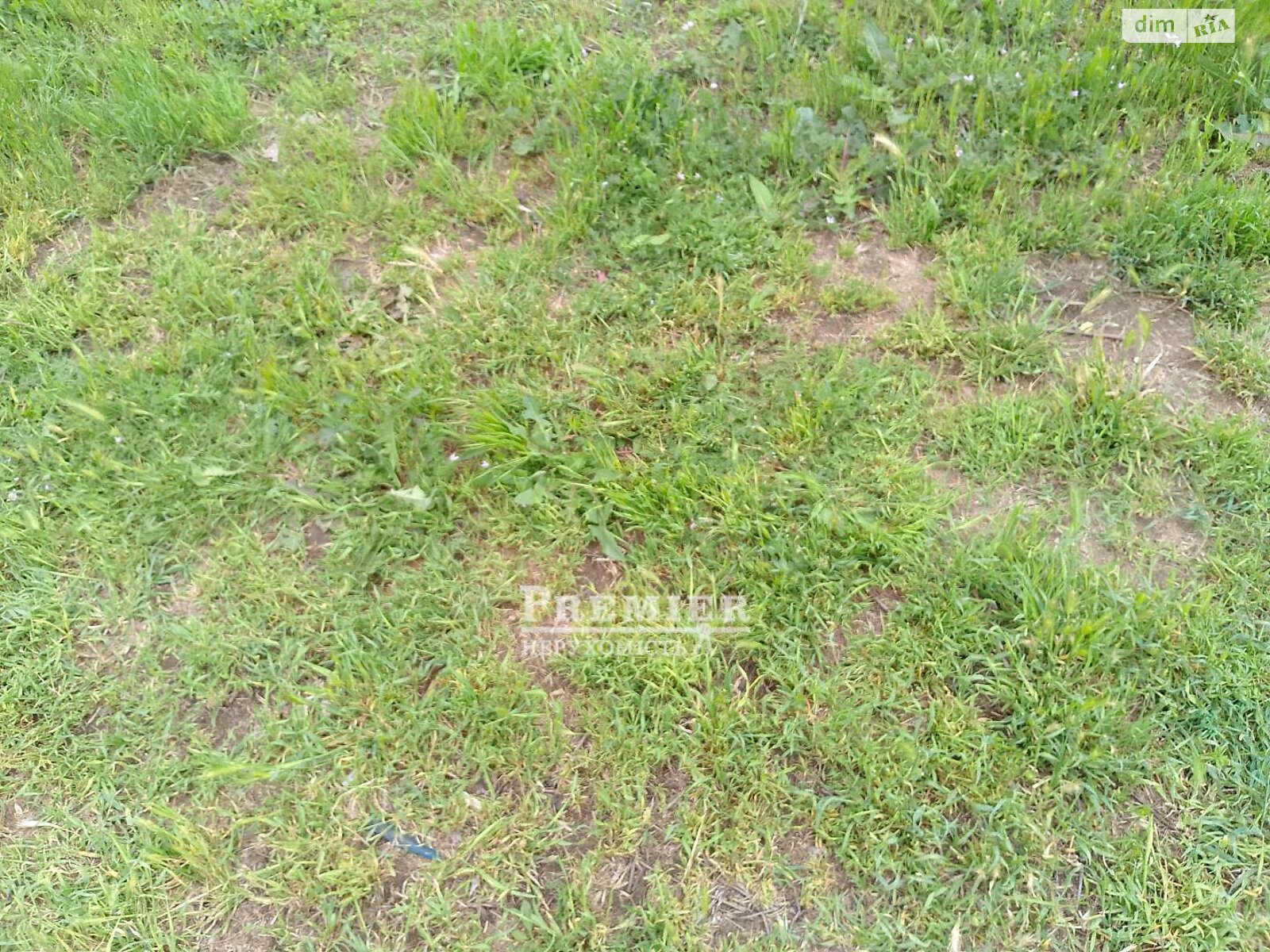 Земельна ділянка під житлову забудову в Дальнику, площа 16.23 сотки фото 1 Земельна ділянка під житлову забудову в Дальнику, площа 16.23 сотки фото 1