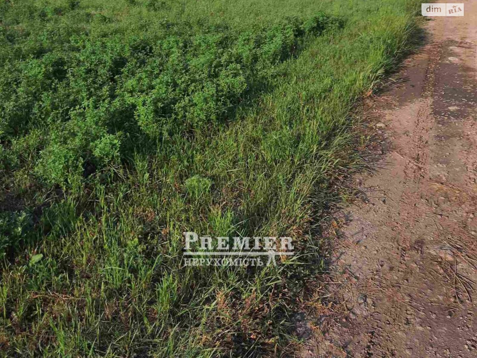 Земельна ділянка під житлову забудову в Дальнику, площа 10 соток фото 1 Земельна ділянка під житлову забудову в Дальнику, площа 10 соток фото 1