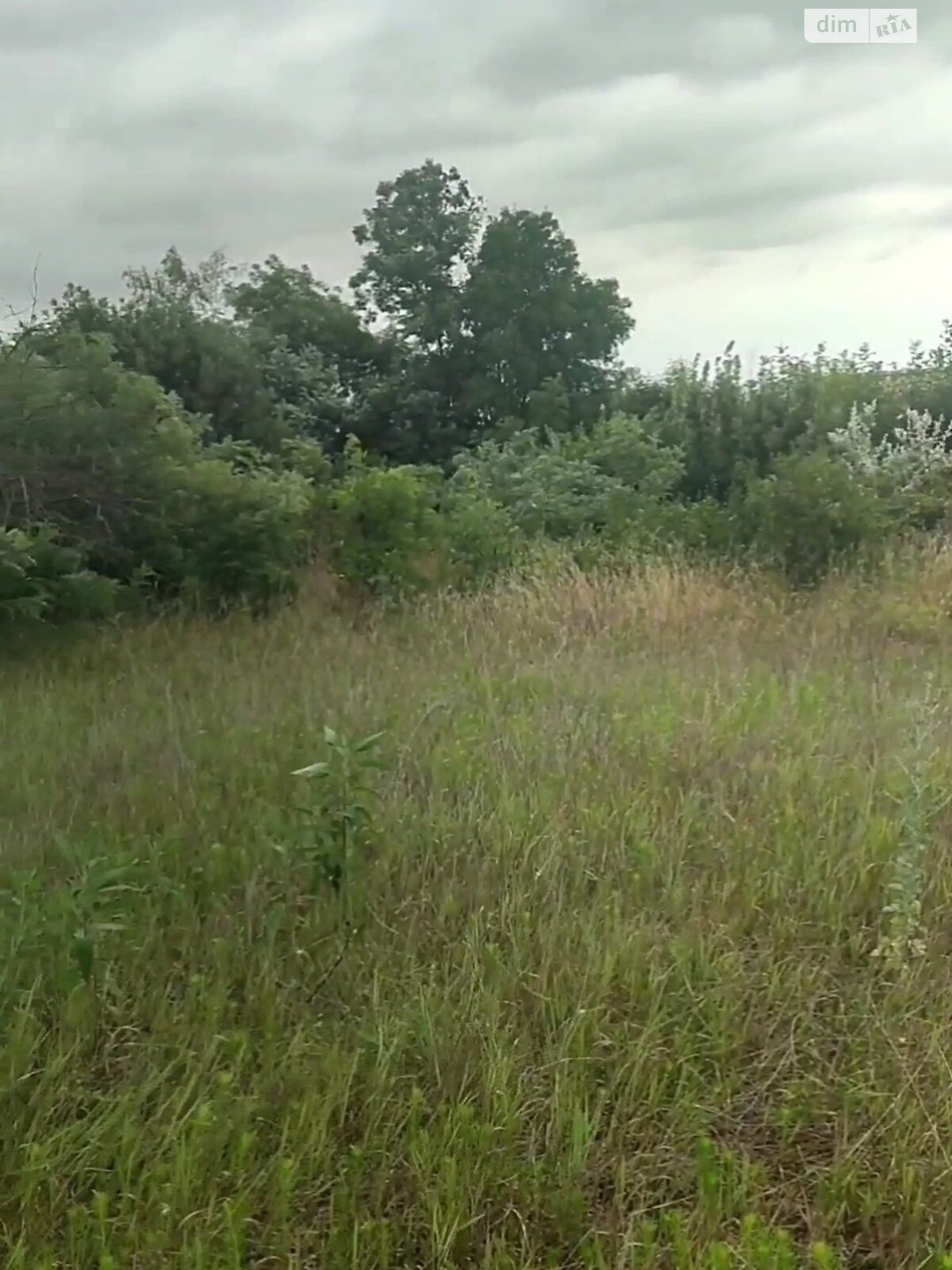 Земельный участок под жилую застройку в Дальнике, площадь 0.0786 Га фото 1 Земельный участок под жилую застройку в Дальнике, площадь 0.0786 Га фото 1