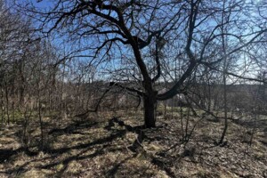 Земельна ділянка під житлову забудову в Дашківцях, площа 19.2 сотки фото 2