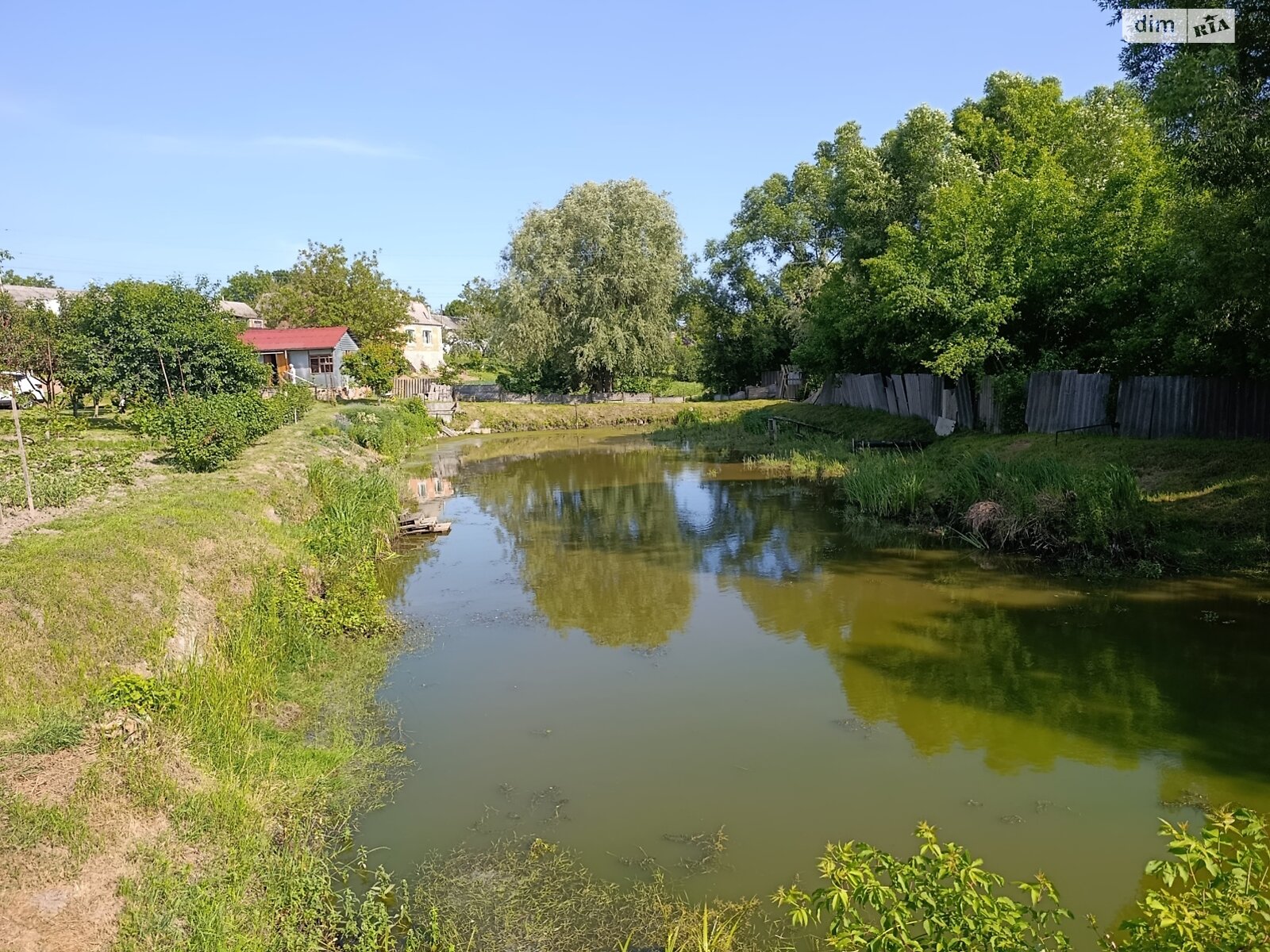 Земельна ділянка під житлову забудову в Дашківцях, площа 26 соток фото 1 Земельна ділянка під житлову забудову в Дашківцях, площа 26 соток фото 1