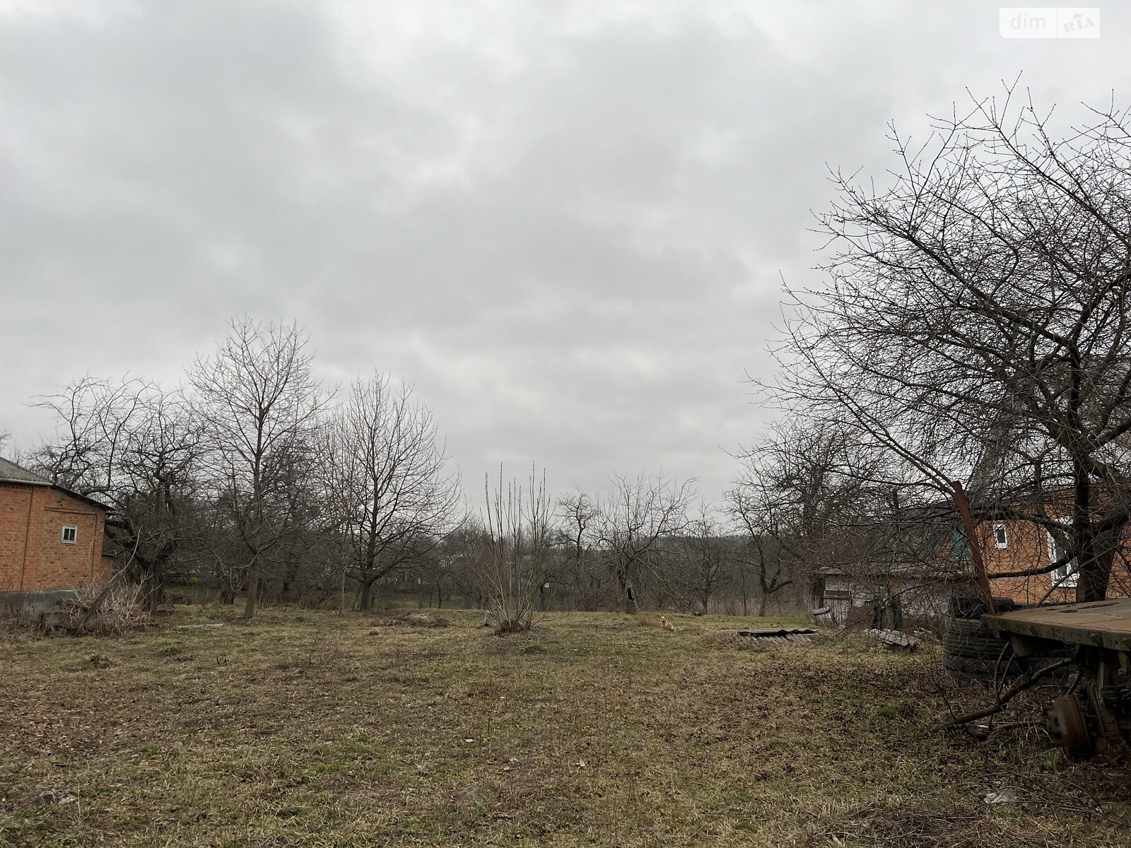 Земельна ділянка під житлову забудову в Дашківцях, площа 17 соток фото 1