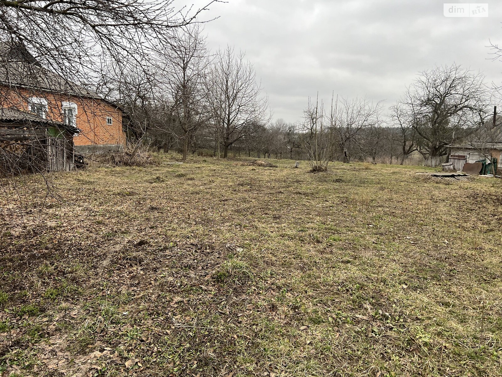 Земельна ділянка під житлову забудову в Дашківцях, площа 17 соток фото 1