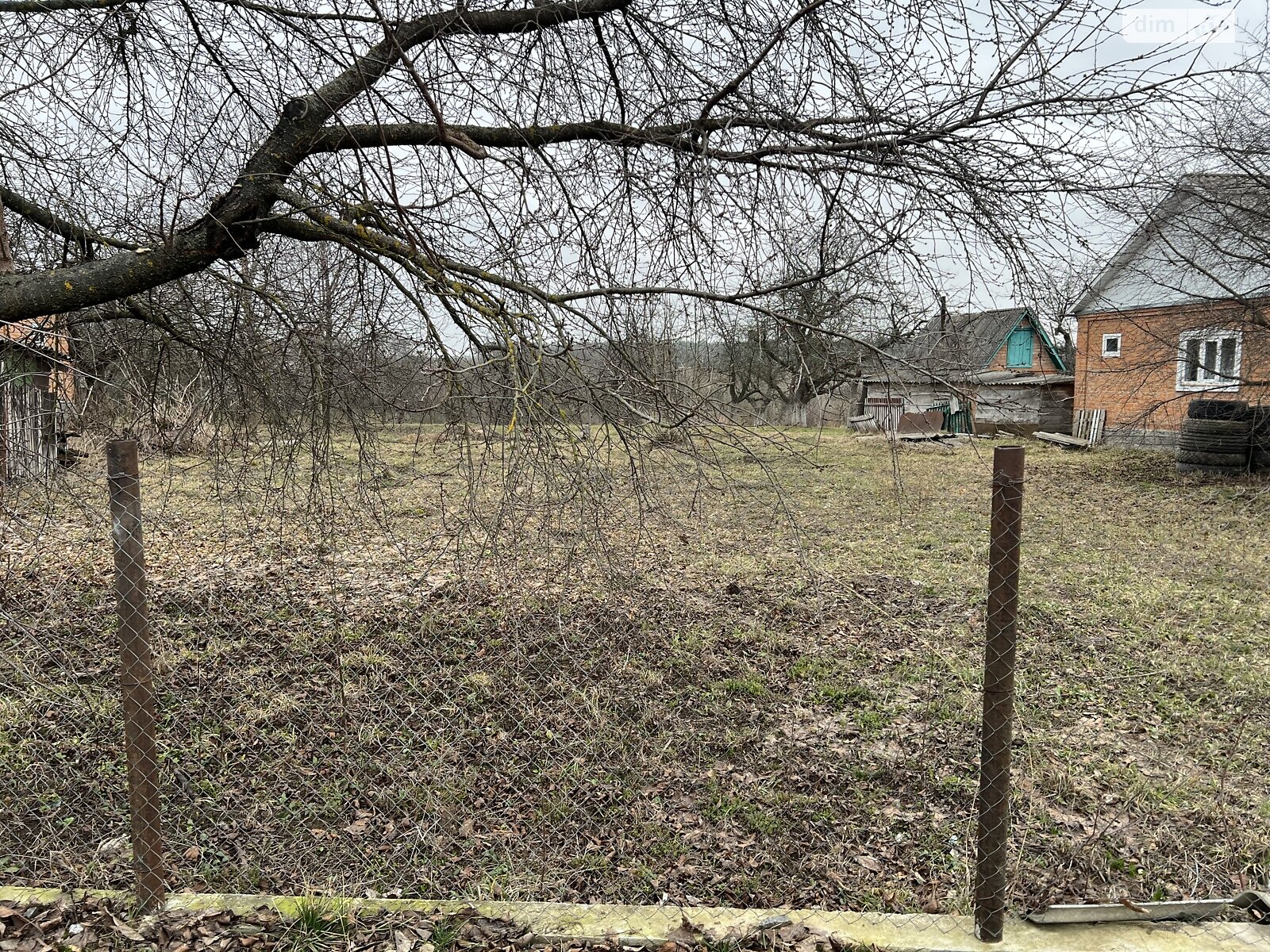 Земельна ділянка під житлову забудову в Дашківцях, площа 17 соток фото 1