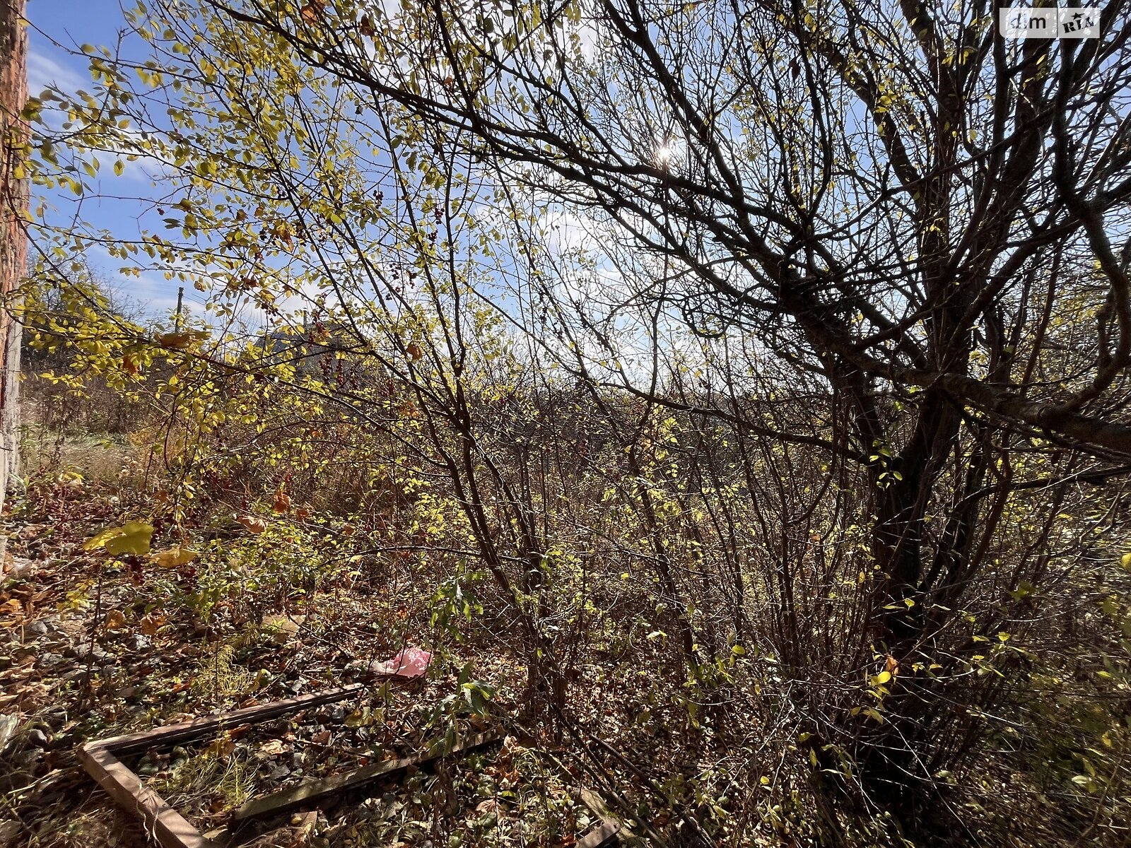 Земельна ділянка під житлову забудову в Давидківцях, площа 6 соток фото 1
