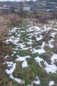 Земельный участок под жилую застройку в Давыдове, площадь 10 соток фото 2