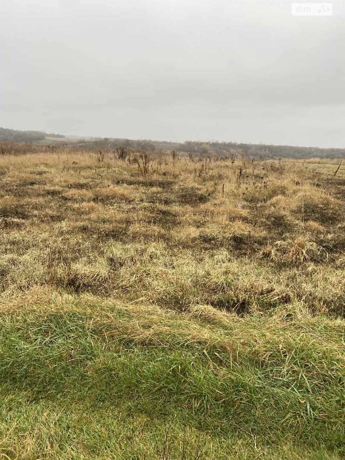 Земельный участок под жилую застройку в Давыдове, площадь 50 соток фото 1