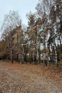 Земельна ділянка під житлову забудову в Демідові, площа 11.99 сотки фото 2