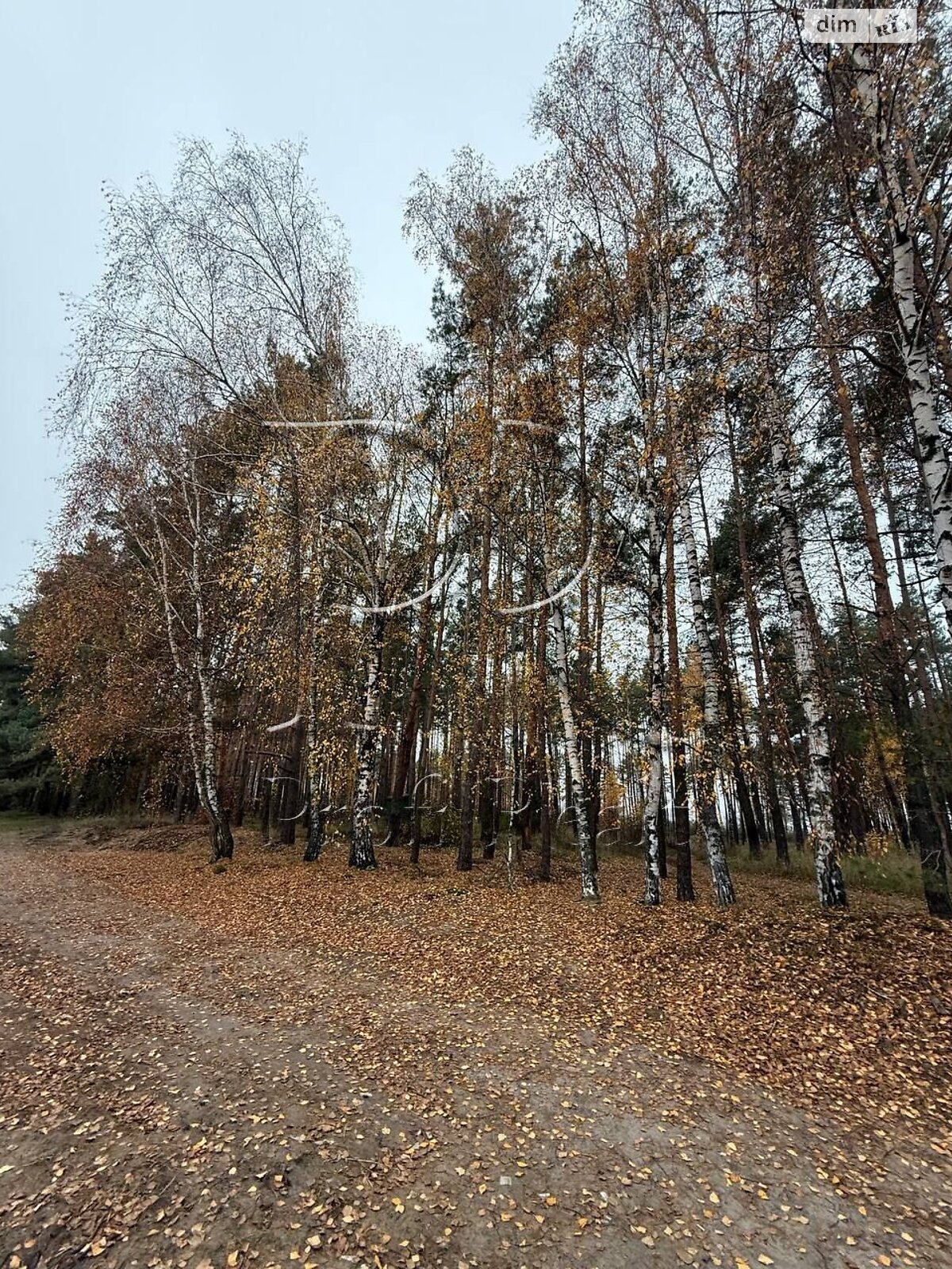 Земельна ділянка під житлову забудову в Демідові, площа 11.99 сотки фото 1